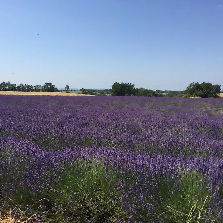 En Provence- Saint Marc Pensión