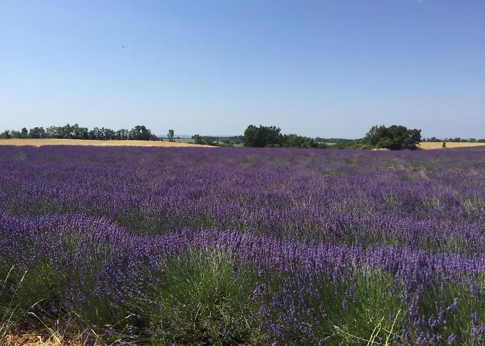 En Provence- Saint Marc בית הארחה