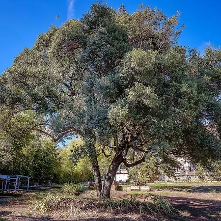 Πανσιόν En Provence- Saint Marc
