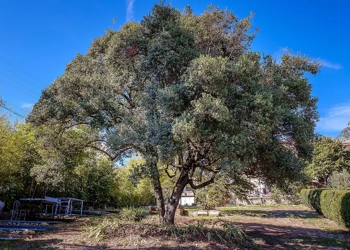 Guest house En Provence- Saint Marc