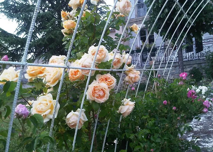 En Provence- Saint Marc 4*